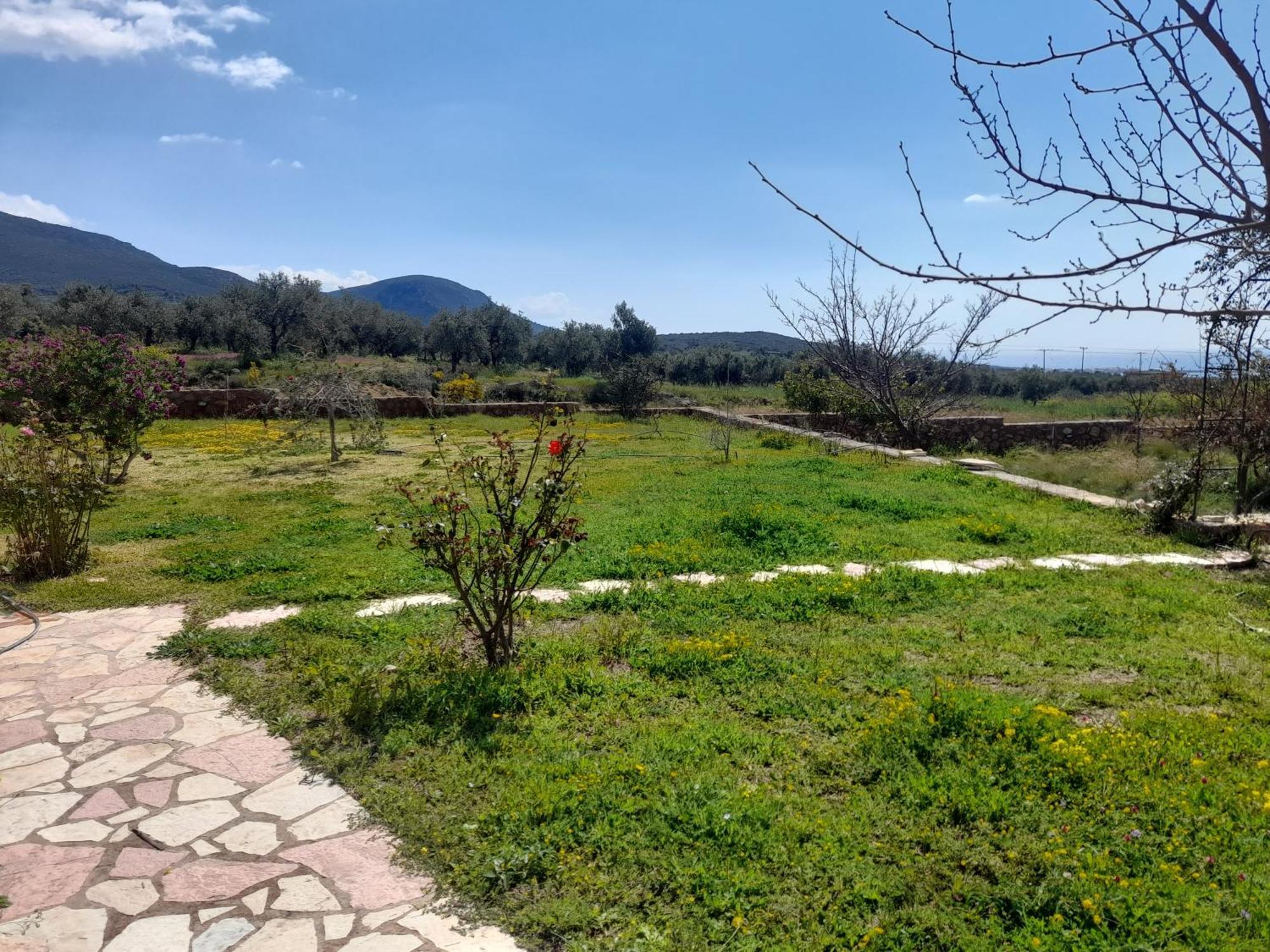 “Villa Othon-Leni” Demoniász-part Kültér fotó