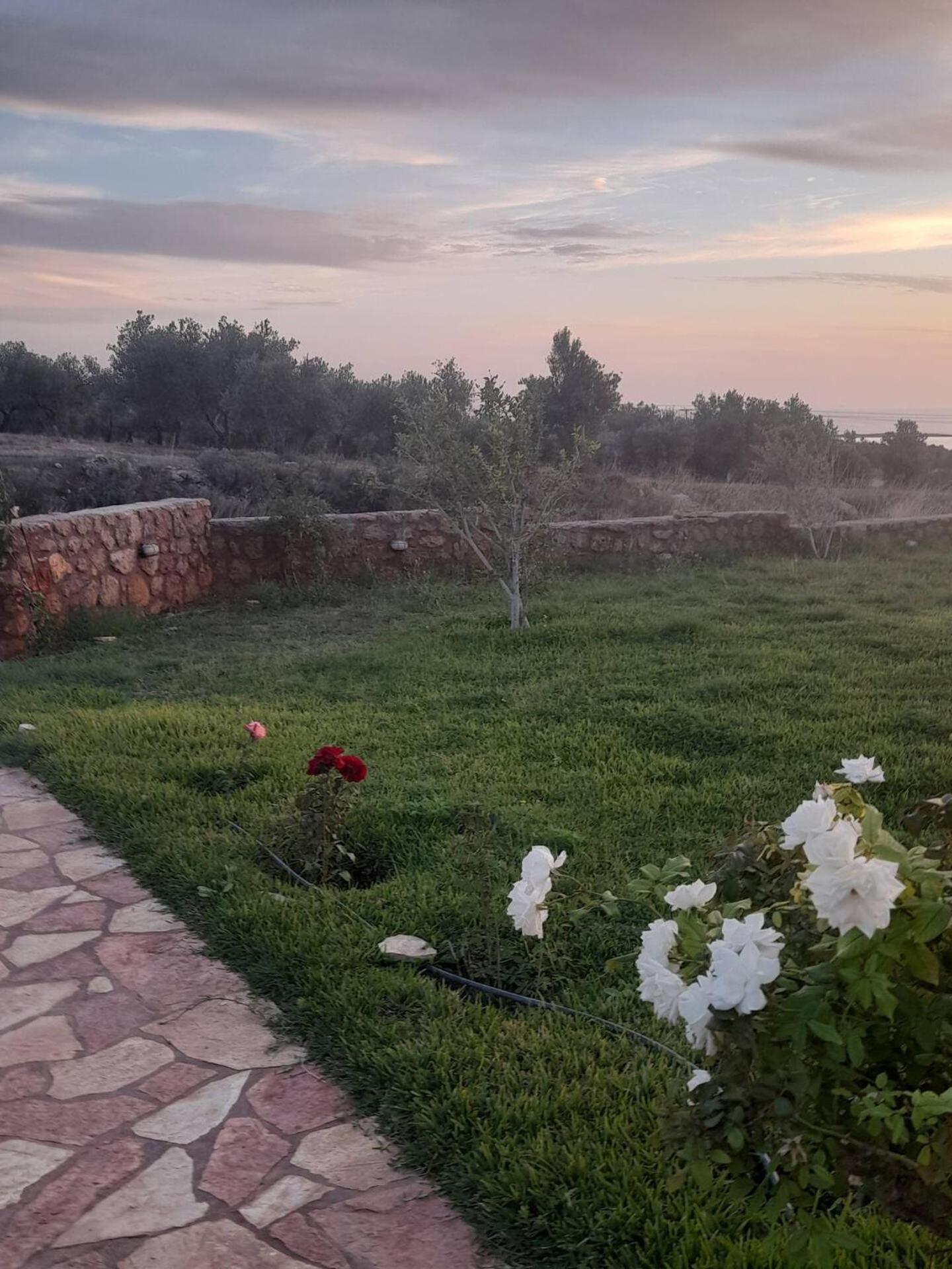 “Villa Othon-Leni” Demoniász-part Kültér fotó